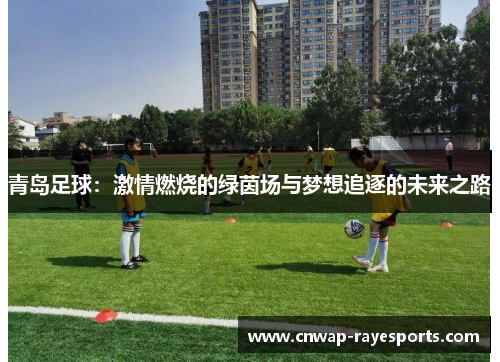 青岛足球：激情燃烧的绿茵场与梦想追逐的未来之路