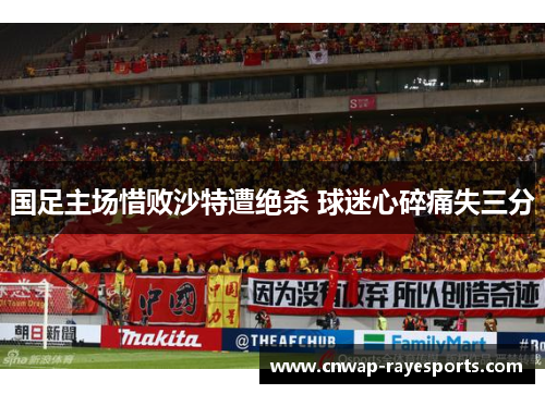 国足主场惜败沙特遭绝杀 球迷心碎痛失三分 国足主场惜败沙特遭绝杀 球迷心碎痛失三分